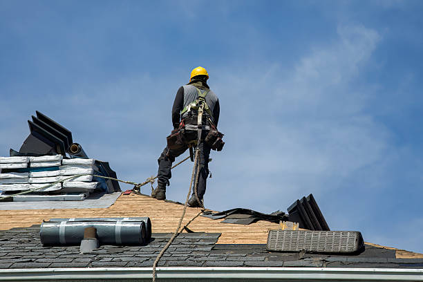 Professional Metal Roofing technician working in Woodhull, IL